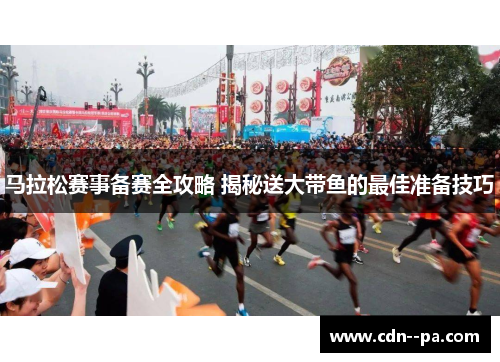 马拉松赛事备赛全攻略 揭秘送大带鱼的最佳准备技巧