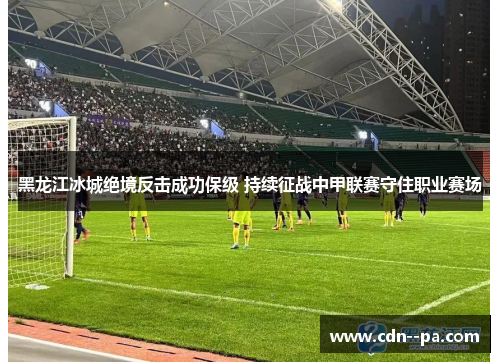 黑龙江冰城绝境反击成功保级 持续征战中甲联赛守住职业赛场